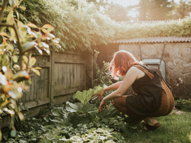 СНТ предложили дать право на официальные договоры с властями