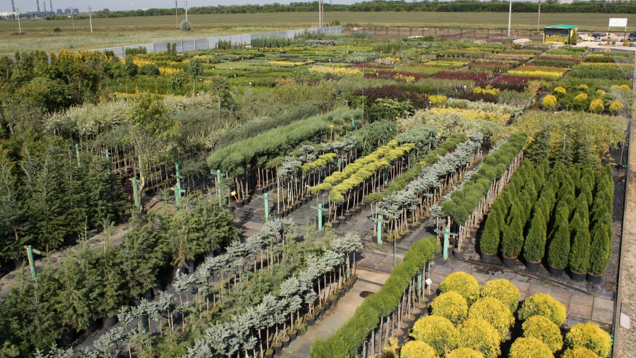 Россиянам решили запретить заниматься бизнесом на дачных участках.