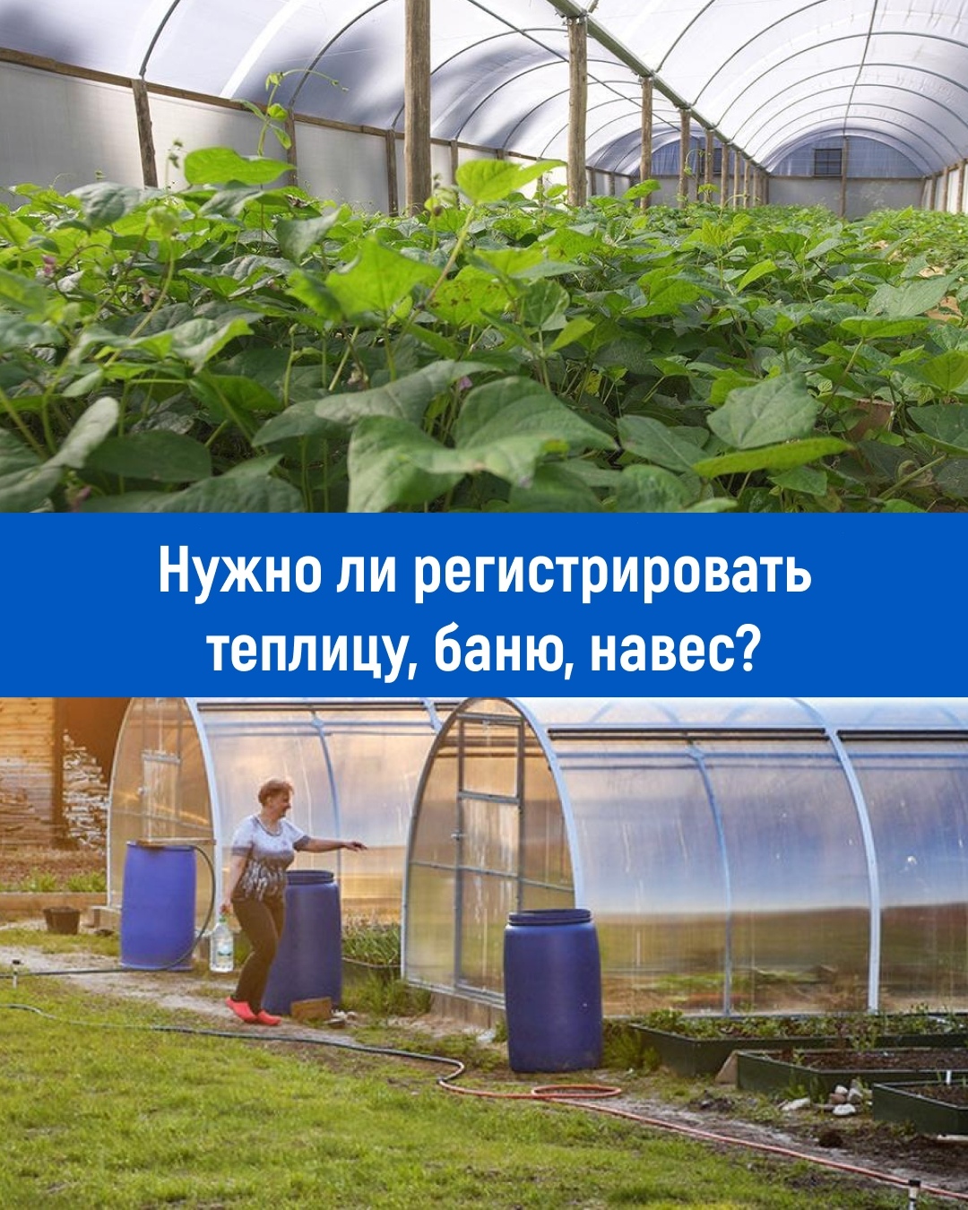 Нужно ли регистрировать теплицу, баню, навес?