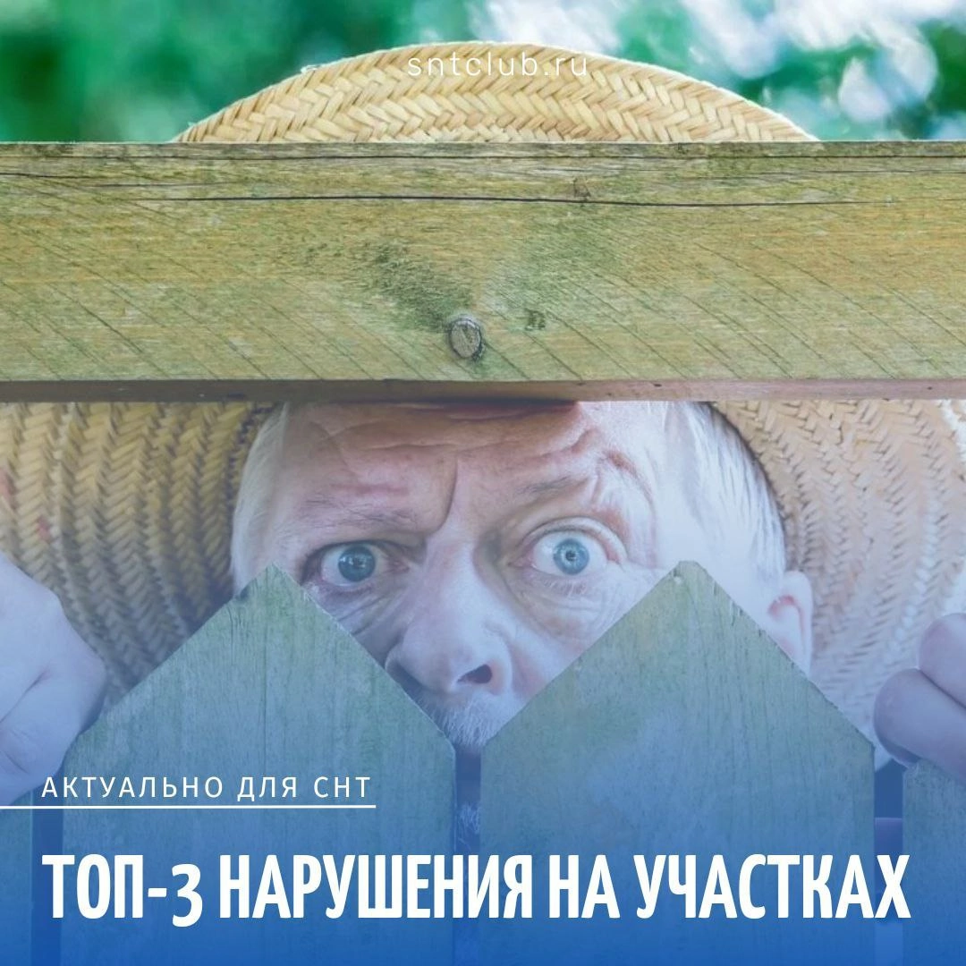 ТОП-3 нарушения на дачных участках по версии Росреестра